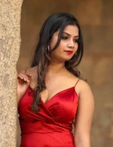 call girl service in Pallikonda